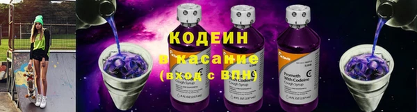 индика Тында