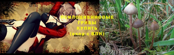 каннабис Нягань