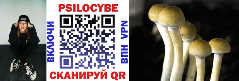 Галлюциногенные грибы Magic Shrooms  Заполярный 