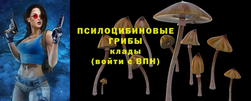 Галлюциногенные грибы Magic Shrooms  Заполярный 